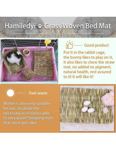 Alfombra de Hierba Tejida Hamiledyi 28x21cm para Mascotas 8Pcs 2