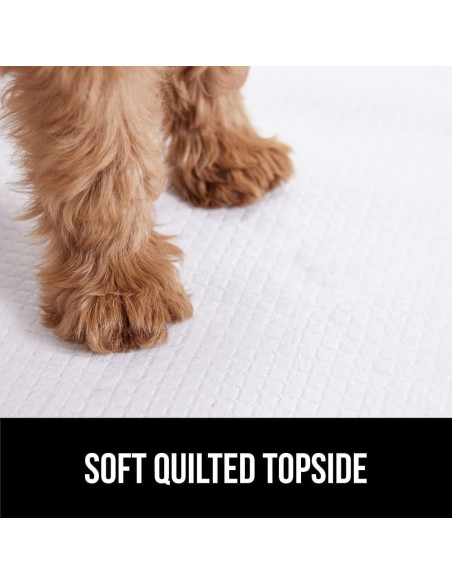 Almohadillas Desechables para Cachorros Gorilla Guard 100 Unidades 56x56cm