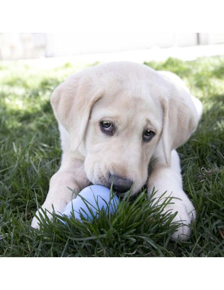 KONG Cachorro Juguete de Goma Natural Grande Rosa 26.5cm