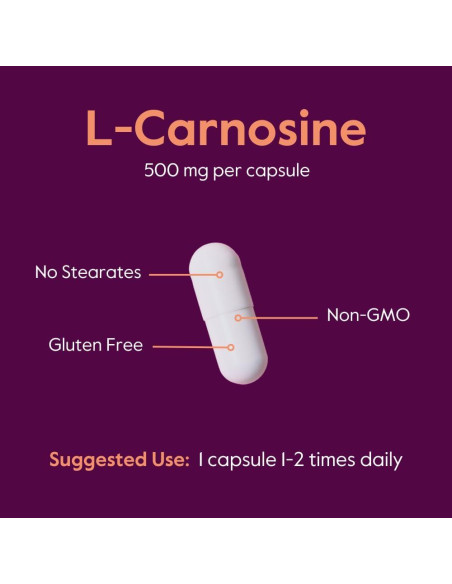 Suplemento L-Carnosina 500mg Bestvite 120 Cápsulas Sin Gluten