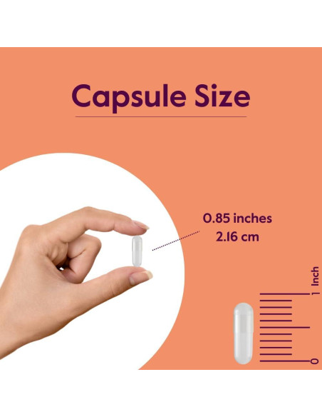 Suplemento L-Carnosina 500mg Bestvite 120 Cápsulas Sin Gluten