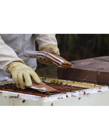 Suplemento Alimenticio para Abejas Global Patties 4% Pólen 2 Unidades 0.45 kg