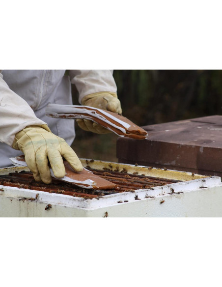 Suplemento Alimenticio para Abejas Global Patties 4% Pólen 2 Unidades 0.45 kg