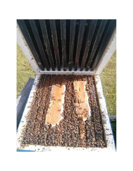 Suplemento Alimenticio para Abejas Global Patties 4% Pólen 2 Unidades 0.45 kg