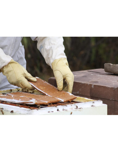 Suplemento Alimenticio para Abejas Global Patties 4% Pólen 2 Unidades 0.45 kg