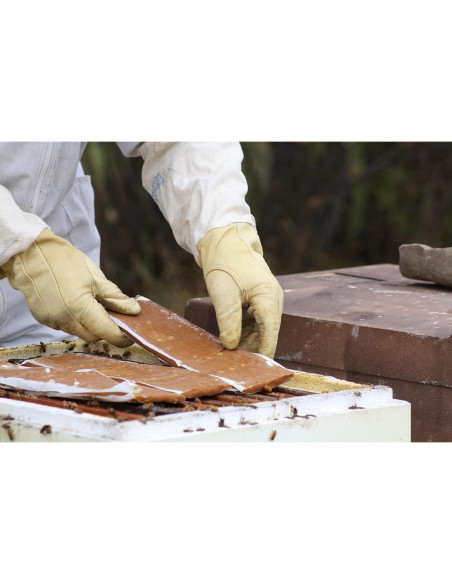 Suplemento Alimenticio para Abejas Global Patties 4% Pólen 2 Unidades 0.45 kg