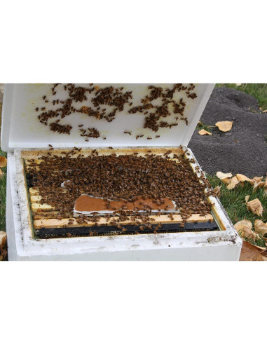 Suplemento Alimenticio para Abejas Global Patties 4% Pólen 2 Unidades 0.45 kg