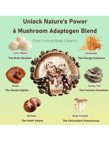 Café de Hongo Instantáneo Daitea 300g - Energía y Enfoque