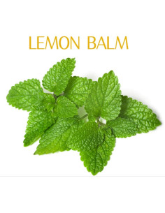 Extracto de Bálamo de Limón Orgánico Natural Puro 500g 2