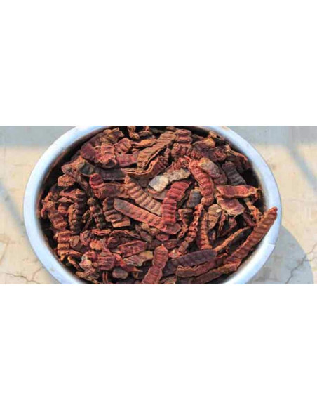 Vainas de Shikakai Natural OnMexa 113.4 g - Cuidado Herbal del Cabello