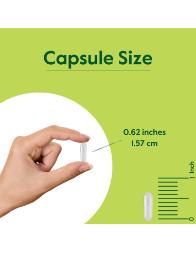 Suplemento de Artemisinina 200mg Bestvite - 60 Cápsulas Veganas