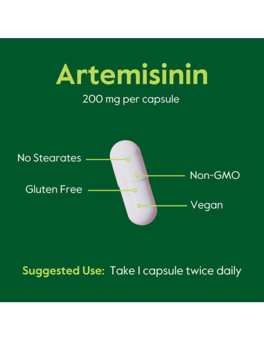 Suplemento de Artemisinina 200mg Bestvite - 60 Cápsulas Veganas