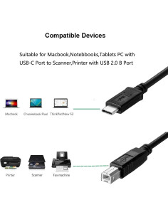 Cable USB-C a USB Tipo B Storel 2m para Impresoras y Laptops 2