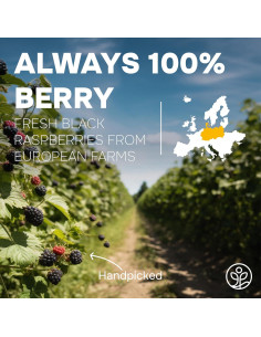 Polvo de Frambuesa Negra Jungle Powders 141.75g Liofilizado 2