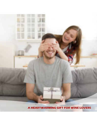 Acelerador de Vino Eléctrico WINIRINA 812P Recargable USB