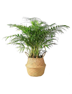 Cesta de Hierba Marina Tejida a Mano FixtureDisplays 35.5x40.6 cm