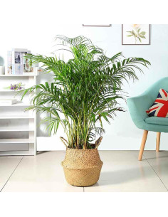 Cesta de Hierba Marina Tejida a Mano FixtureDisplays 35.5x40.6 cm 2