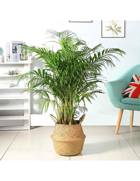 Cesta de Hierba Marina Tejida a Mano FixtureDisplays 35.5x40.6 cm