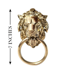 Agujero de puerta león bronce vintage collectiblesBuy 17.78x10.16cm 2