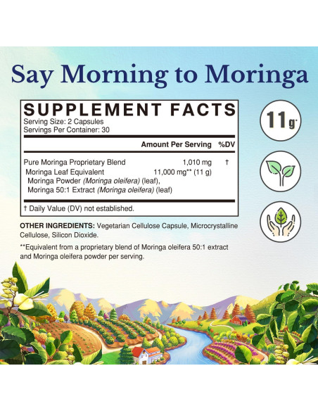 Cápsulas de Moringa Vitalitown 11g - 60 Unidades, Sin Cafeína