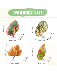 4 Hamacas de Hoja para Betta Lyreh - Decoración Acuario Verde Marrón 2