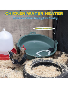 Calentador de Agua para Pollos Magoog 500W con Termostato 2