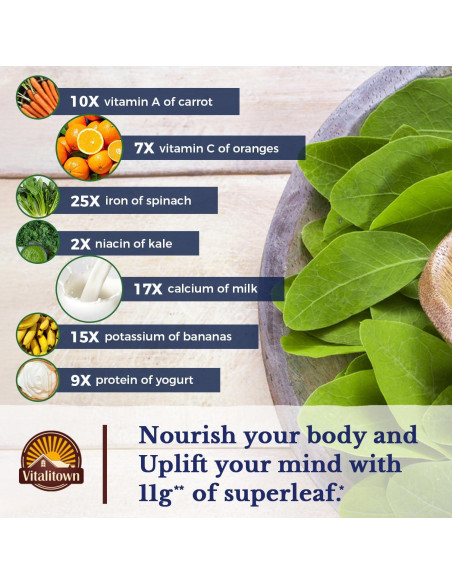 Cápsulas de Moringa Vitalitown 11g - 60 Unidades, Sin Cafeína