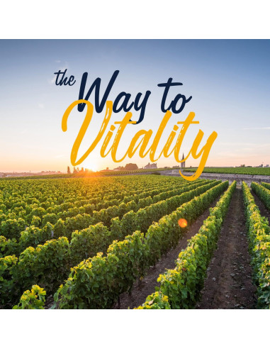 Cápsulas de Moringa Vitalitown 11g - 60 Unidades, Sin Cafeína