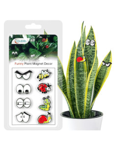 Ojos Magnéticos para Plantas Cslehel - 8 Piezas Divertidas