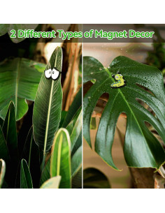 Ojos Magnéticos para Plantas Cslehel - 8 Piezas Divertidas 2