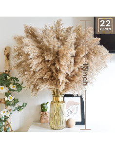 22 Piezas de Hierba de Pampas Secas Marrón 43 cm - Decoración Boho 2