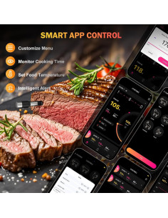 Termómetro de Carne Inalámbrico NoWoW BQ50-2 con 2 Probetas 2