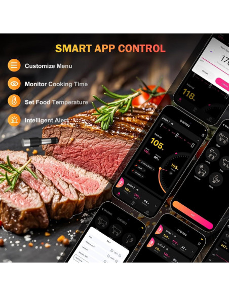 Termómetro de Carne Inalámbrico NoWoW BQ50-2 con 2 Probetas