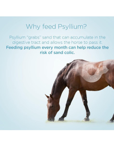 Suplemento Equino Psyllium Pellets Formula 707 1.36 kg 2