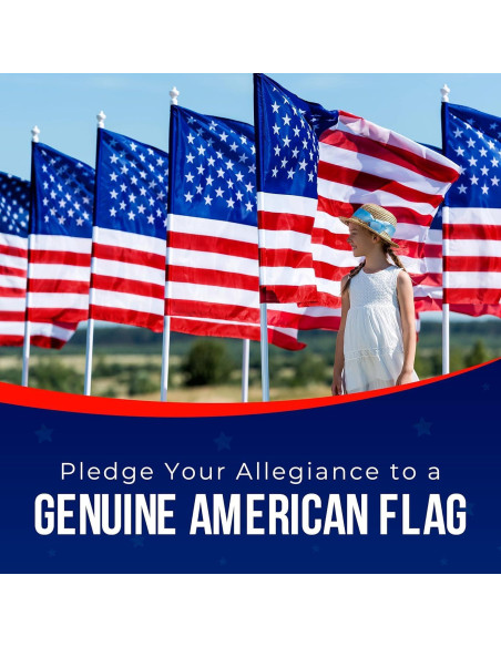 Bandera Americana 3x5 Hecha en EE. UU. Rushmore Rose FMAA