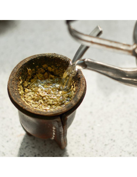 Cápsulas de Yerba Mate Ingredientes Originales Puros 100 Unidades