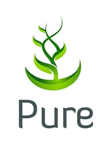 Cápsulas de Yerba Mate Ingredientes Originales Puros 100 Unidades