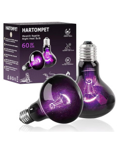 Bombilla Nocturna UVA 60W HARTOMPET para Reptiles - Paquete de 2