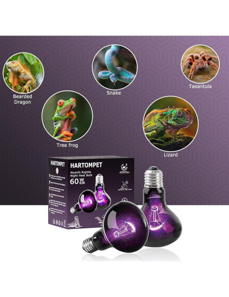 Bombilla Nocturna UVA 60W HARTOMPET para Reptiles - Paquete de 2