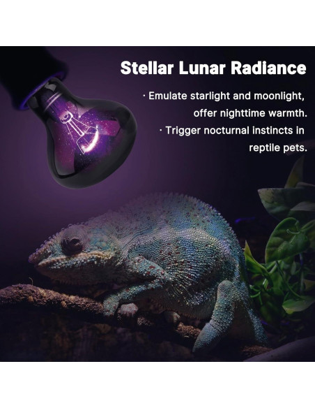 Bombilla Nocturna UVA 60W HARTOMPET para Reptiles - Paquete de 2