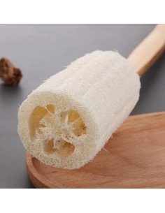 Juego de 2 Cepillos de Ducha GSHLLO con Mango de Madera 37cm 2