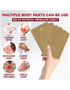 80 Parches Herbales de Jengibre para Alivio Muscular y Articular 2