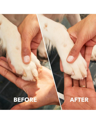 Dremel PawControl 7760-PGK Molinillo de Uñas Inalámbrico