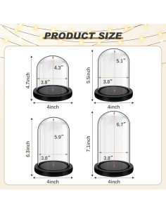 Cúpulas de Vidrio con Base de Madera Suclain - 4 Piezas 2
