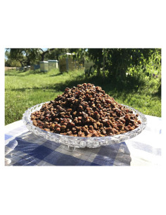 Pan de Abeja Orgánico 100% Fresco - 50g - Sin Conservantes