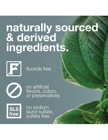 Pasta de Dientes de Carbón Davids 149.69g Blanqueamiento Natural