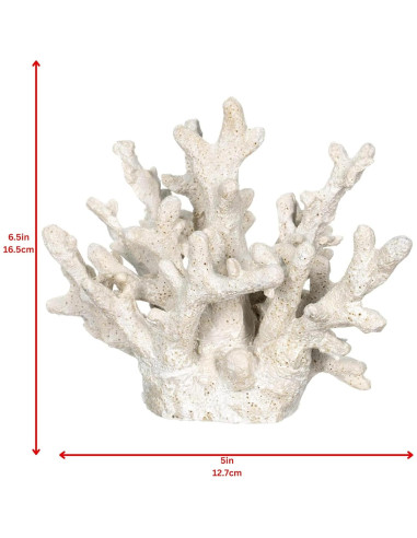 Coral Blanco Decorativo Nautical Crush Trading 16.5x12.7x14cm