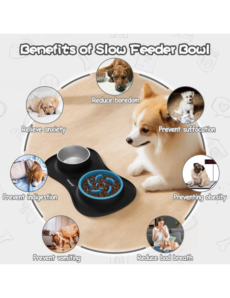 Juego de Platos para Perros MateeyLife 3 en 1 Antideslizante