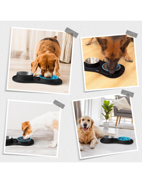 Juego de Platos para Perros MateeyLife 3 en 1 Antideslizante
