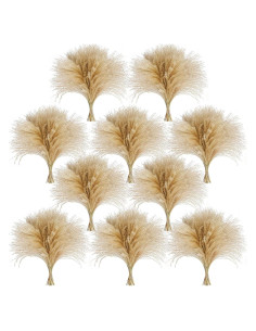 450 Piezas de Hierba Pampas Natural CKBT - Decoración Bohemia